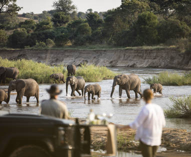 Rattrays-MalaMala-8944-1