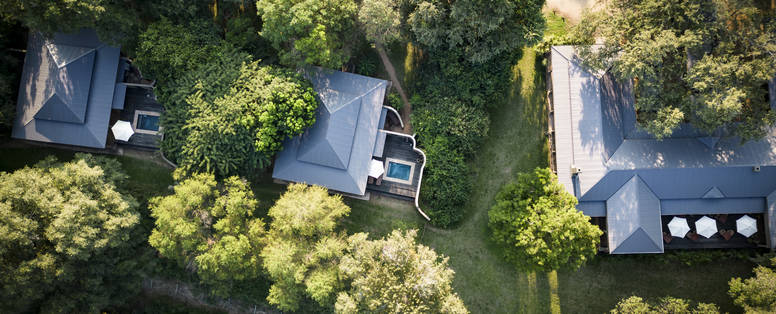 Rattrays-MalaMala-0097