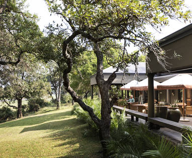 Rattrays-MalaMala-4135