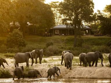 Rattrays-MalaMala-5447