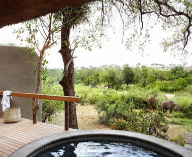 2018.varty_.suite9_-1940x1284