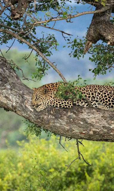 IMG_01641-lfa427212-1940x1293_(1)