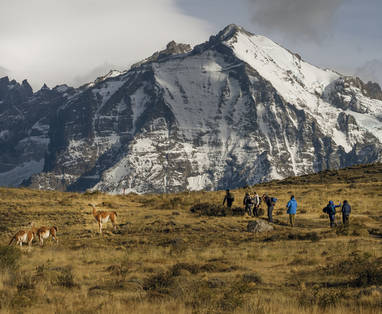 SOLLR-wildlife-encounters