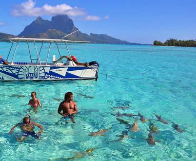 Haaien excursie bij Bora Bora 
