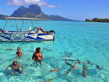 BOB_-_Ultimate_Shark___Ray_Watching_(22)