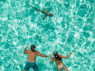 Snorkelaars met haaien op Tahaa