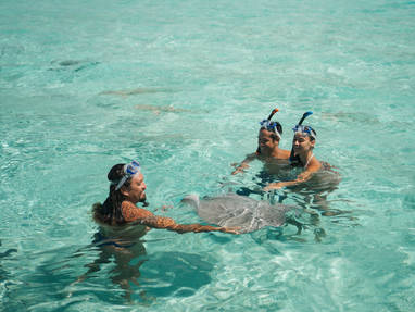 Koppel snorkelt met haaien bij Bora Bora 