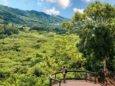 P2_RAIATEA_Alikaphoto-_DSC8888_©_Alika_Photography