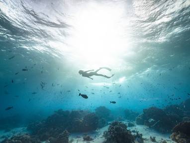 P2_FAKARAVA_©_Alexandre_Voyer_Fakarava-26_©_Alexandre_Voyer