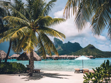 BOB_Four_Seasons__(1)