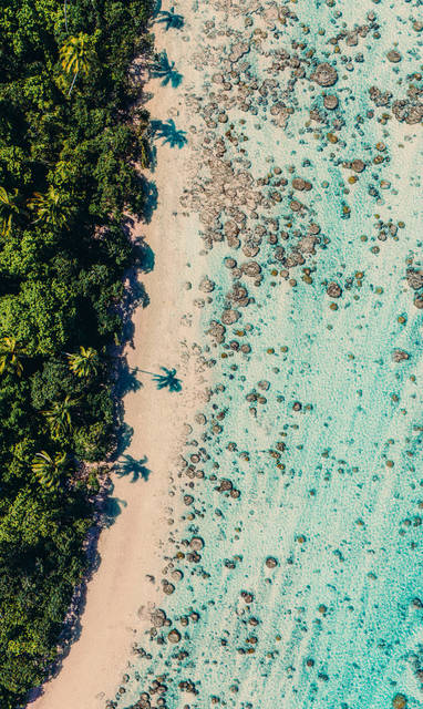 BOBY-BOBY-DJI_20240216013624_0011_D