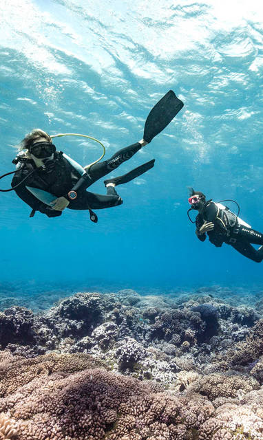 P2_FAKARAVA_┬®_Alexandre_Voyer_Fakarava-20_┬®_Alexandre_Voyer-3500x2333