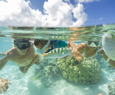 P2_TAHAA_00217_TAHAA_©_Grégoire_Le_Bacon-5760x3840