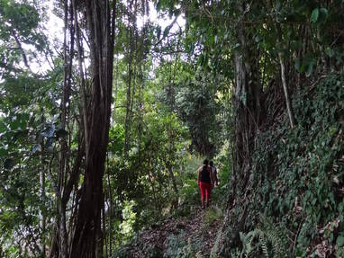 Hanaiapa___Hanatekuua_Valleys_2_(1)