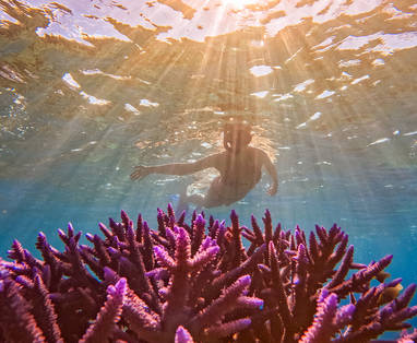 matangi-private-island-experiences-snorkelling-underwater-pink-coral