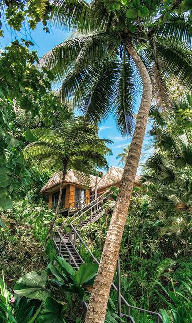 luxury-fiji-accommodation-treehouse-palms
