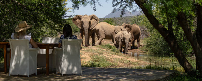 manor-viewing-deck-water-hole-elephants-andrew-morgan-low-res