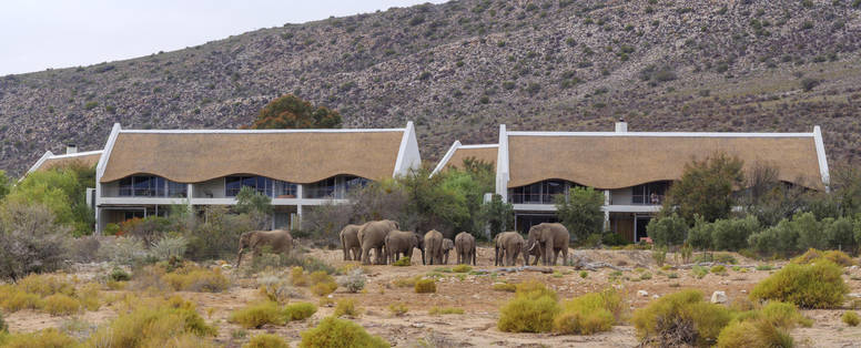 Gondwana_Family_Lodge_at_Sanbona_Wildlife_Reserve_3