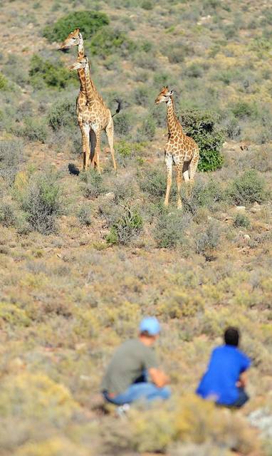 Sanbona_Guest_Experience_20