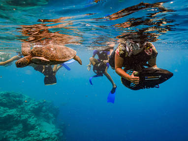 01_Turtle_Sea_Scooter_Safari.gallery_image.1