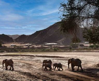 Namibia_Hoanib_Elephant_Camp_Elephant_1