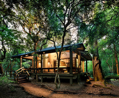 South-Africa-Phinda-Forest-Lodge-Room-Suite-exterior-view-High-Resolution-Width_5000px