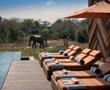 South-Africa-Phinda-Homestead-Guest-area-pool-loungers-with-elephant-High-Resolution-Width_5000px