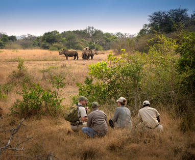 South-Africa-Phinda-Private-Game-Reserve-Game-Walk__14_-High-Resolution-Width_5000px
