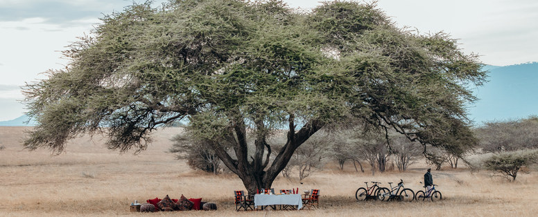 ol_Donyo_Lodge_GreatPlainsConservation_Kenya_BP_112024_084
