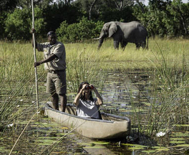 Botswana | Okavango Delta | Varen met een 'mokoro'