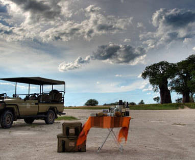 Botswana | Nxai Pan National Park | Baobab bomen