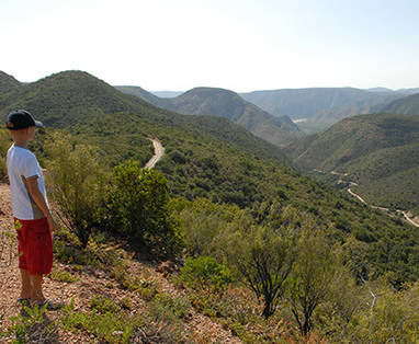 Zuid-Afrika reizen | Baviaanskloof