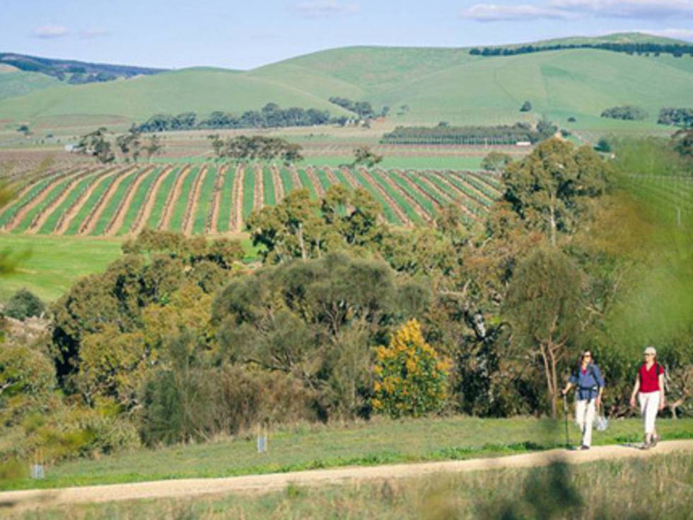 Wandelen in Barossa Valley