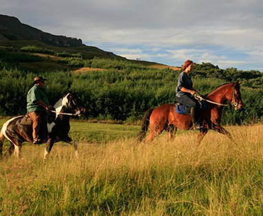 Cleopatra Mountain Farmhouse | Drakensbergen | paardrijden