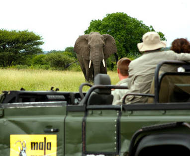 Malamala wildreservaat | Main Camp | gamedrive