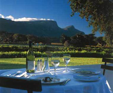 Zuid-Afrika vakantie | Constantia wijnregio