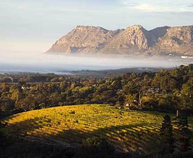 Zuid-Afrika wijnregio | Franschoek