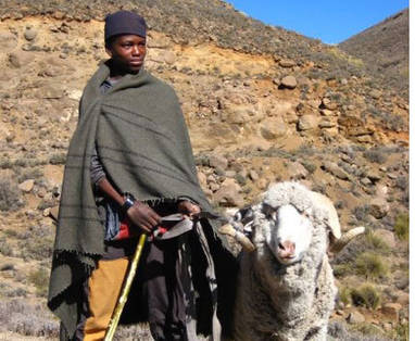 Lesotho | herdersjongen