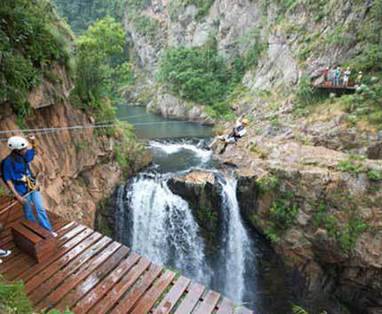 Zuid-Afrika avontuur | Magoebaskloof canopy tour