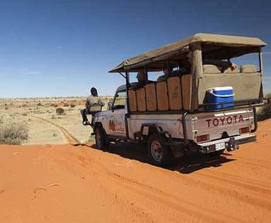 Zuid-Afrika safari | Kgalagadi Transfrontier Park