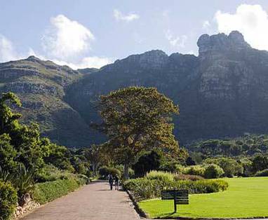 Zuid-Afrika reizen | Kirstenbosch National Botanical Gardens