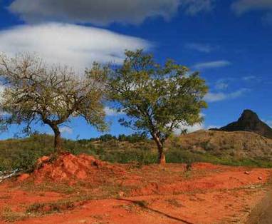 Zuid-Afrika droomreis | Ezulwini vallei