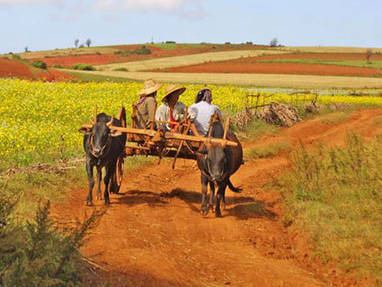Myanmar | Kalaw | landelijke omgeving