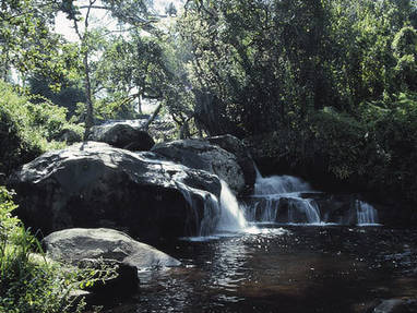 Malawi | Zomba Plateau | watervallen